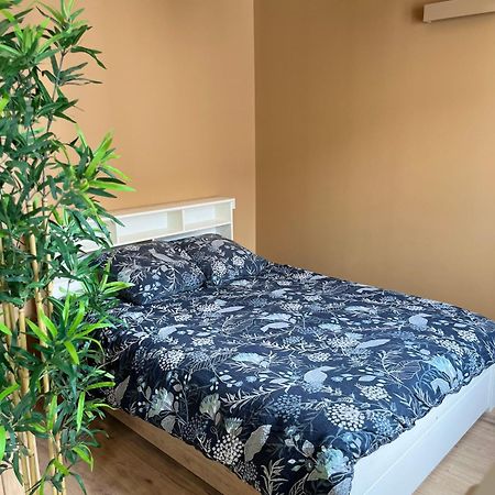 Appartamento L'Ile De Bali, Sejour En Couple Ou Famille Roanne Esterno foto